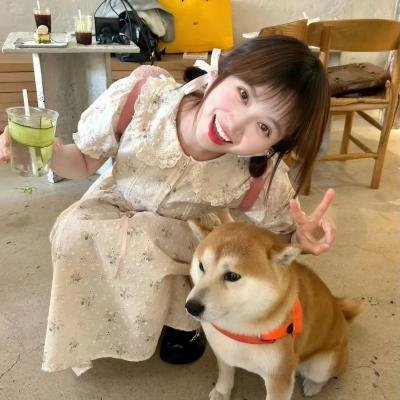 兔子镇的火狐狸