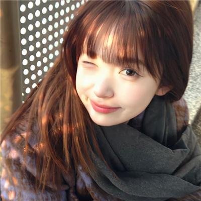 狮子狗行动