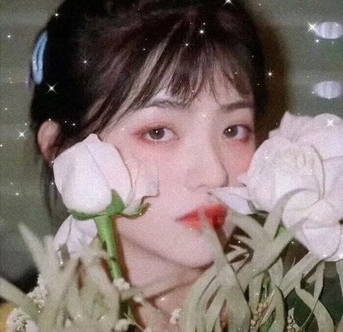 战马